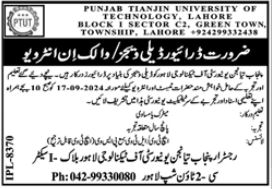 Punjab Tianjin University Of Technolgy PTUT Jobs 2024