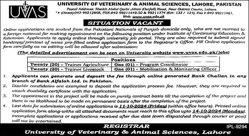 University Of Veterinary And Animal Sciences UVAS Jobs 2024